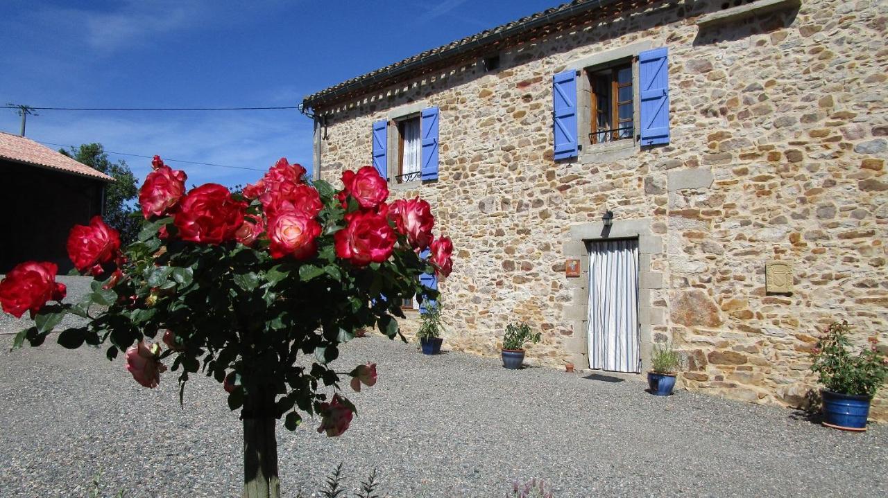 Gites & Chambres D'Hotes Peyrecout Laparrouquial 外观 照片